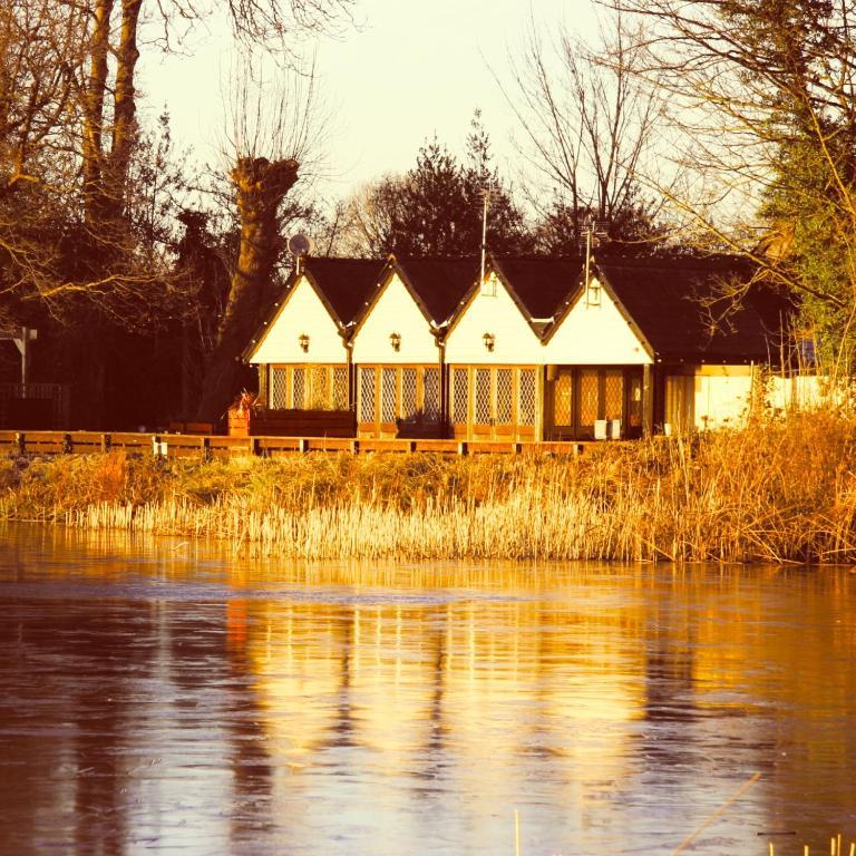 فندق The Wiremill Felbridge الغرفة الصورة